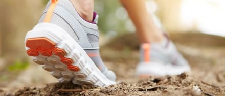 Wegwijs.wiel - Stichting WIEL